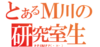 とあるＭ川の研究室生活（タダのＭダナ（・×・））