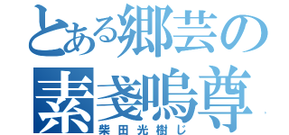 とある郷芸の素戔嗚尊（柴田光樹じ）