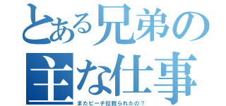 とある兄弟の主な仕事（またピーチ拉致られたの？）