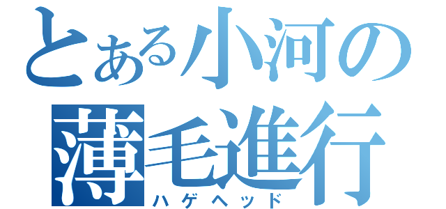 とある小河の薄毛進行（ハゲヘッド）