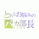 とあるお悩みのバカ部長（橘内珠利）