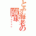 とある海老の蹴球（ドロマミレ）