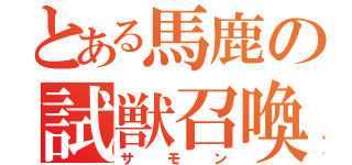 とある馬鹿の試獣召喚（サモン）