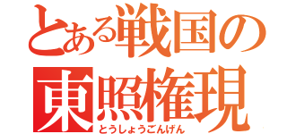 とある戦国の東照権現（とうしょうごんげん）