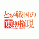 とある戦国の東照権現（とうしょうごんげん）