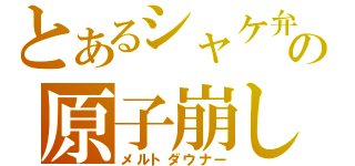 とあるシャケ弁の原子崩し（メルトダウナー）