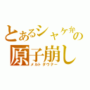 とあるシャケ弁の原子崩し（メルトダウナー）