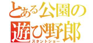 とある公園の遊び野郎（スタントショー）