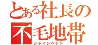 とある社長の不毛地帯（シャインヘッド）