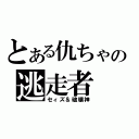 とある仇ちゃの逃走者（セィズ＆破壊神）