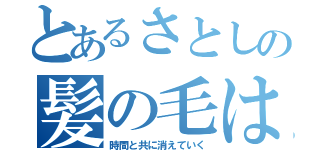 とあるさとしの髪の毛は（時間と共に消えていく）