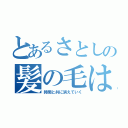 とあるさとしの髪の毛は（時間と共に消えていく）