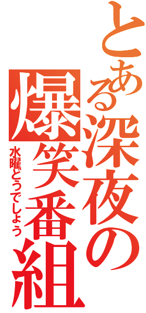 とある深夜の爆笑番組（水曜どうでしょう）