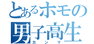 とあるホモの男子高生（カンマ）