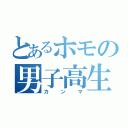 とあるホモの男子高生（カンマ）