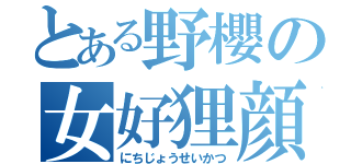 とある野櫻の女好狸顔（にちじょうせいかつ）