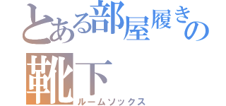 とある部屋履きの靴下（ルームソックス）