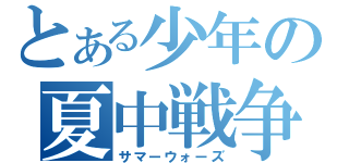 とある少年の夏中戦争（サマーウォーズ）