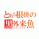 とある根掛の黒外来魚（ブラックバス）