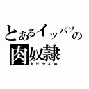 とあるイッパソの肉奴隷（まりやんぬ）