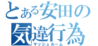 とある安田の気違行為（マッシュルーム）