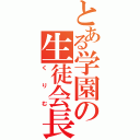 とある学園の生徒会長（くりむ）