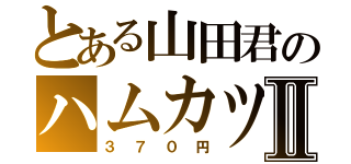 とある山田君のハムカツサンドⅡ（３７０円）