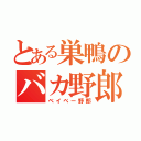 とある巣鴨のバカ野郎（ベイベー野郎）