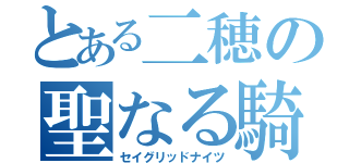 とある二穂の聖なる騎士（セイグリッドナイツ）