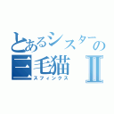 とあるシスターの三毛猫Ⅱ（スフィンクス）