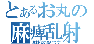 とあるお丸の麻痺乱射（素材代が高いです）