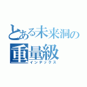 とある未来洞の重量級（インデックス）