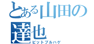 とある山田の達也（ピットブルハゲ）