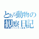 とある動物の観察日記（ペンギン観察）