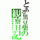 とある黒豆柴の観察日記（何回噛まれた）