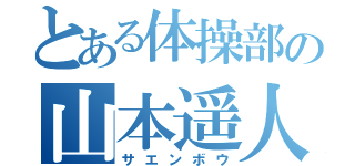 とある体操部の山本遥人（サエンボウ）