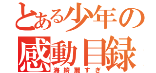 とある少年の感動目録（海綺麗すぎ）