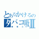 とあるかけるのタバコ吸いⅡ（肺癌乙）