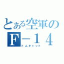 とある空軍のＦ－１４（トムキャット）