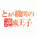 とある機関の逆流王子（フラジール）