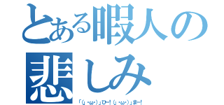 とある暇人の悲しみ（「（」・ω・）」ひー！（」・ω・）」まー！）