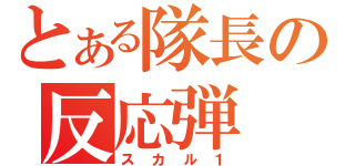 とある隊長の反応弾（スカル１）