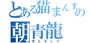 とある猫まんまの朝青龍（サトラップ）