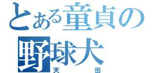 とある童貞の野球犬（天田）