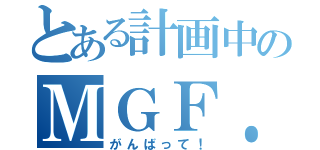 とある計画中のＭＧＦ．Ｔ（がんばって！）