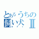 とあるうちの飼い犬Ⅱ（ポテト）