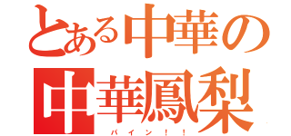 とある中華の中華鳳梨（  パ  イ  ン  ！  ！）