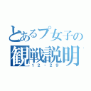 とあるプ女子の観戦説明（１２・２９）