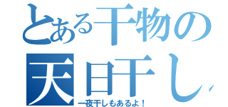 とある干物の天日干し（一夜干しもあるよ！）