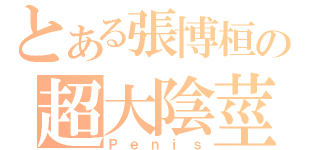 とある張博桓の超大陰莖（Ｐｅｎｉｓ）